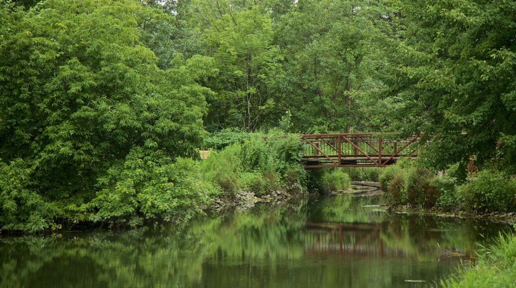 Old Erie Canal Historic State Park showing a river or creek and a bridge