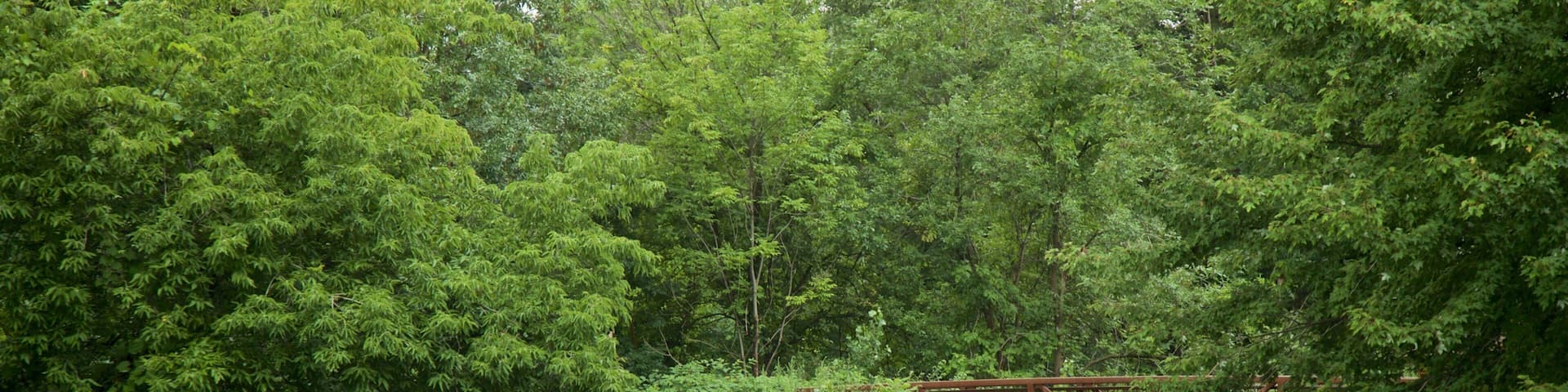 Old Erie Canal Historic State Park showing a river or creek and a bridge