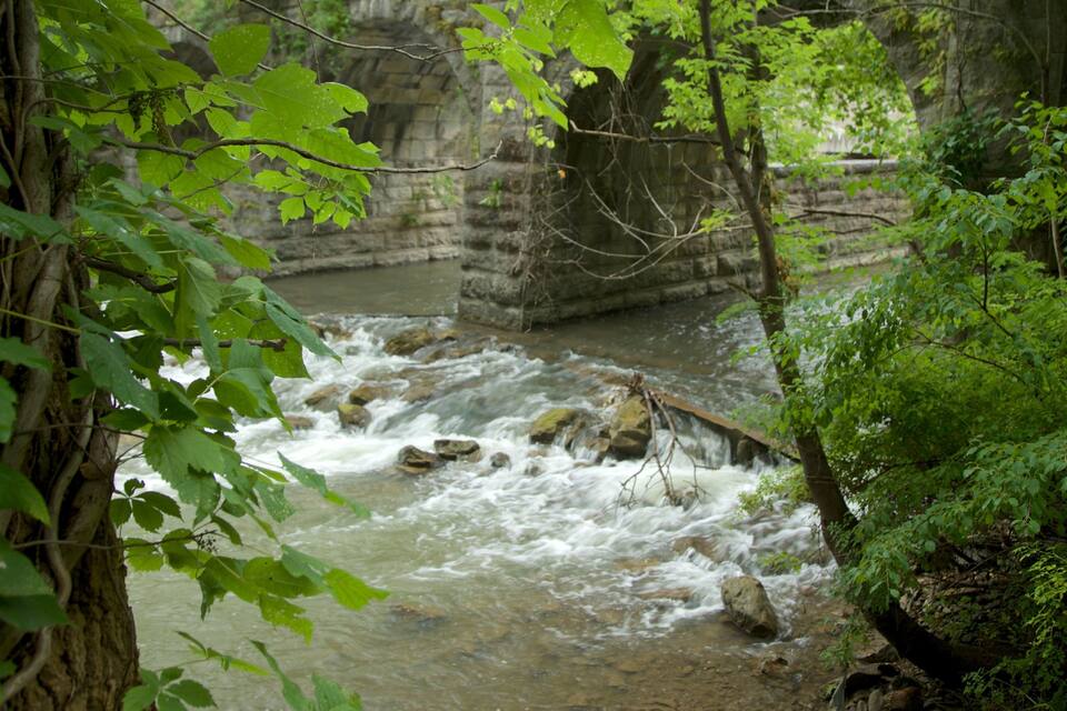 A fast-flowing river with rocks, surrounded by dense green foliage and stone structures.