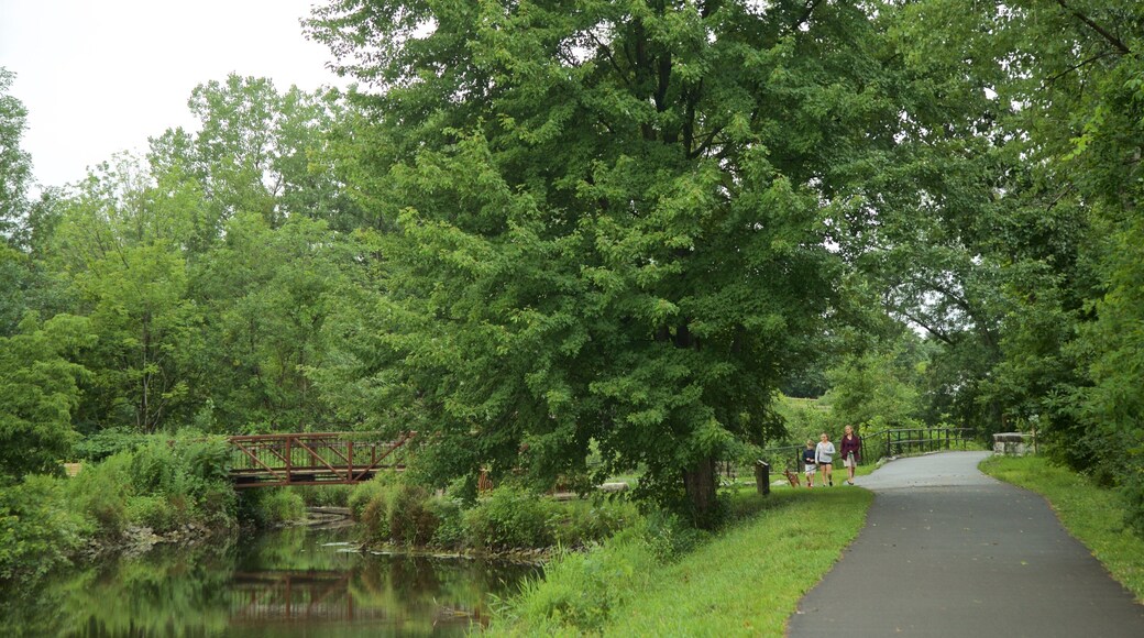 舊伊利運河史蹟州立公園 呈现出 河流或小溪, 花園 和 橋梁
