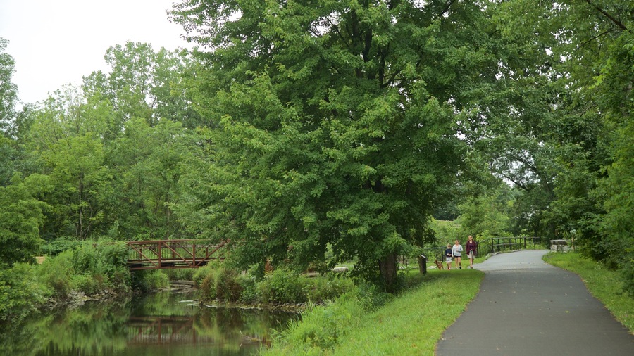 Old Erie Canal Historic State Park showing a bridge, a park and a river or creek