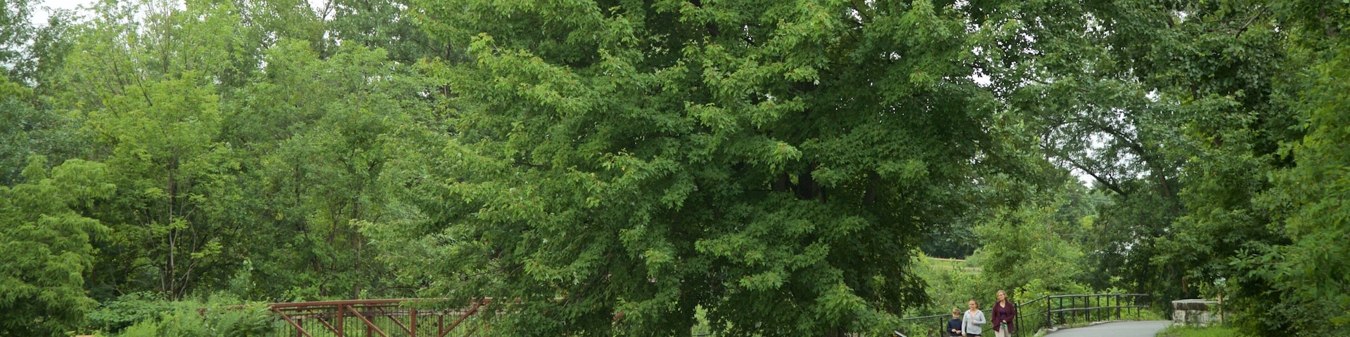 Old Erie Canal Historic State Park showing a bridge, a river or creek and a park