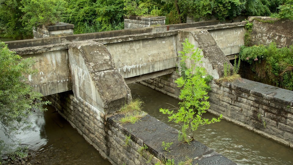 A concrete bridge over a water channel with greenery on either side.