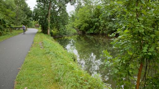 Parc d\'Ătat historique Old Erie Canal qui includes riviĂšre ou ruisseau et jardin
