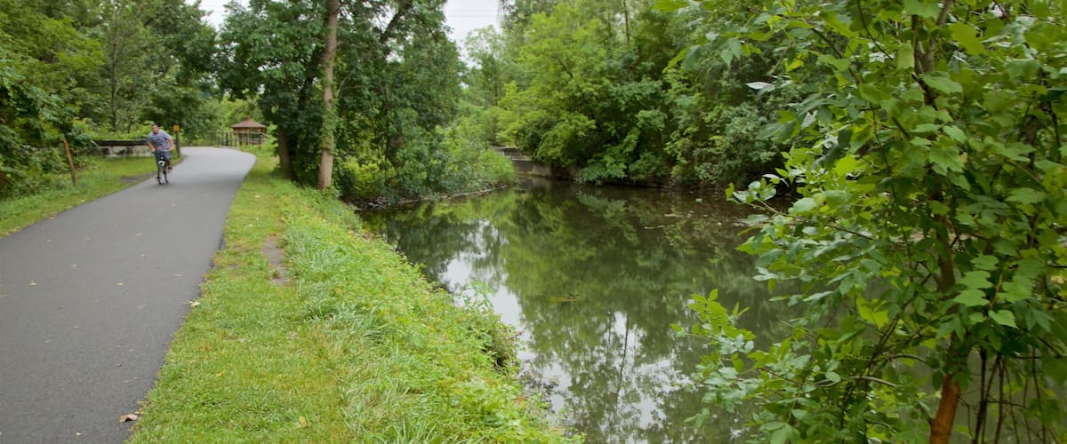 A paved path alongside a calm river, surrounded by lush greenery and trees.