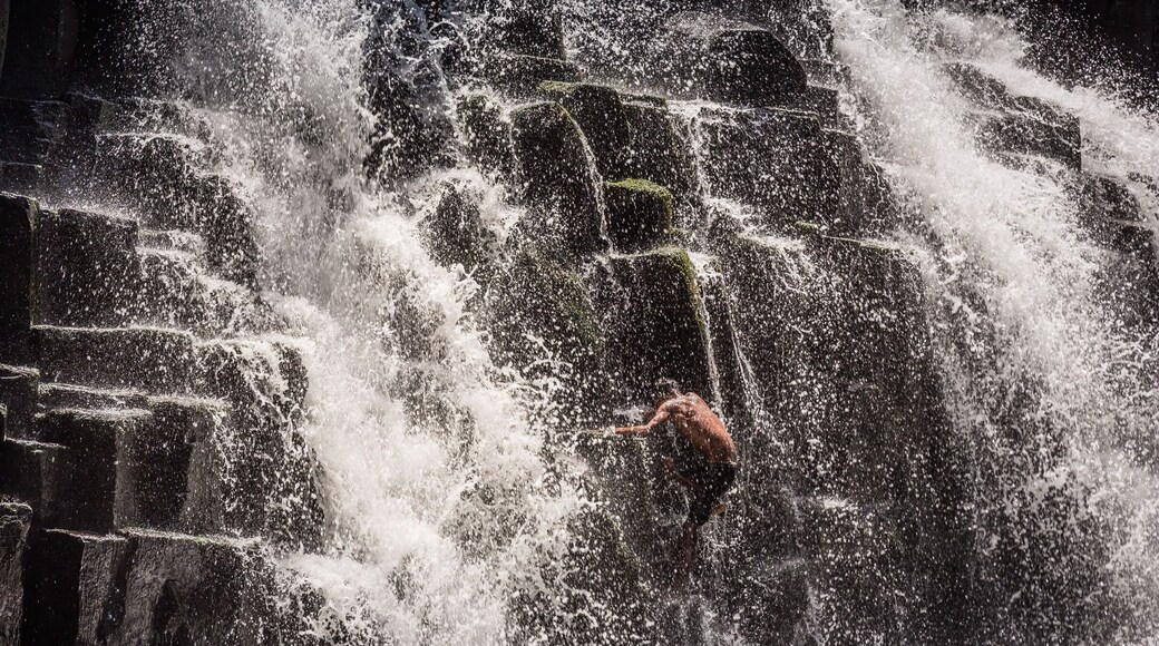 Climbing waterfalls in Mauritius.
#troveon #mauritius #people
Make sure you follow me on:
https://www.facebook.com/ShotByCanipel/
https://www.instagram.com/canipel/