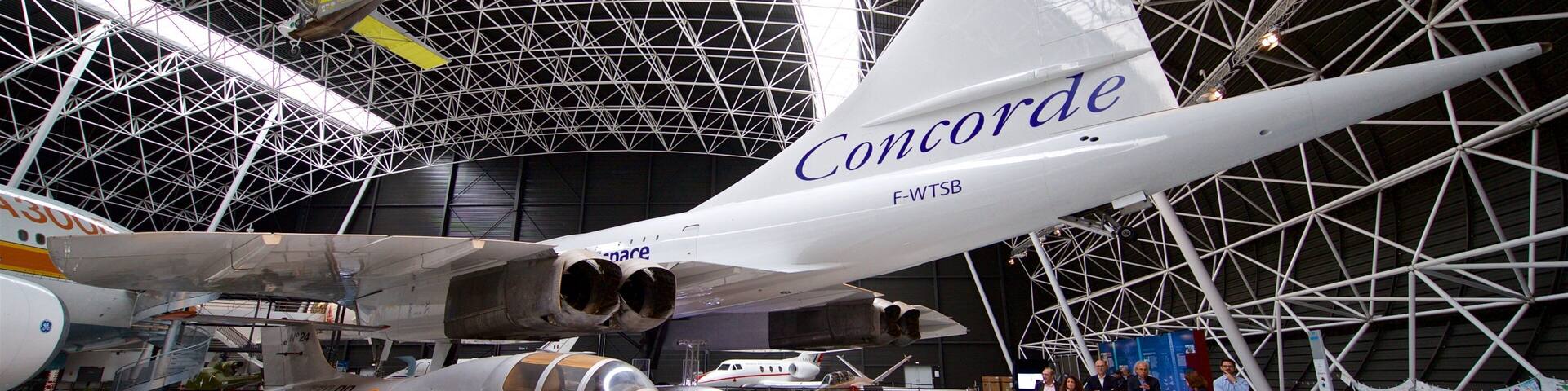 Airbus featuring aircraft and interior views as well as a small group of people