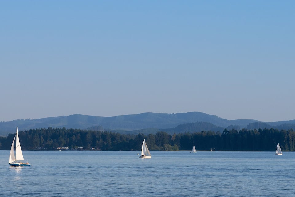 A calm lake with several sailboats and a forested mountain range in the background.