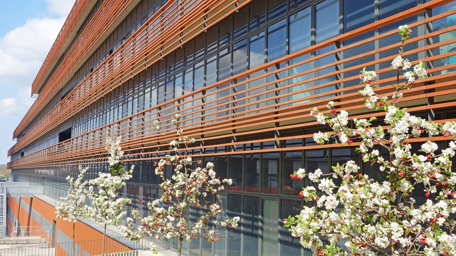 Façade de bâtiment en terre cuite