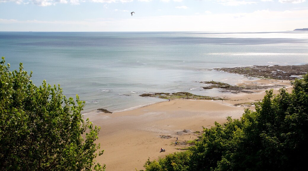 Playa de South Bay ofreciendo una playa de arena