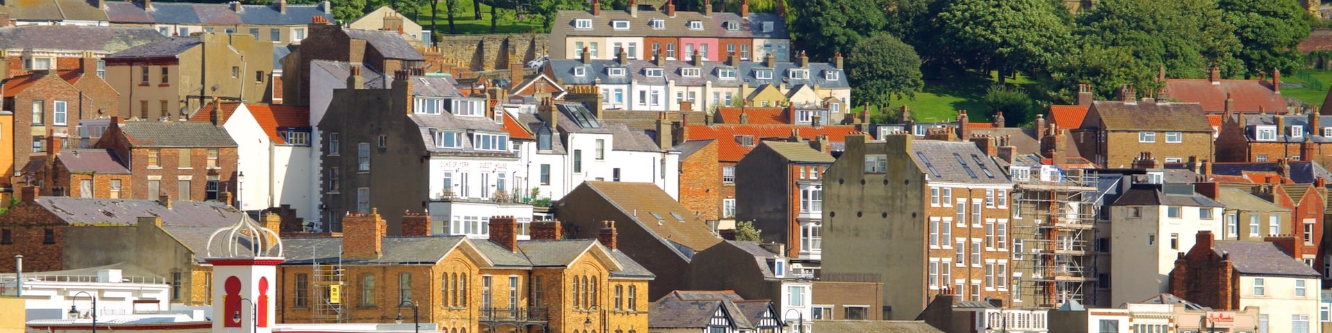 South Bay Beach showing a coastal town and a sandy beach