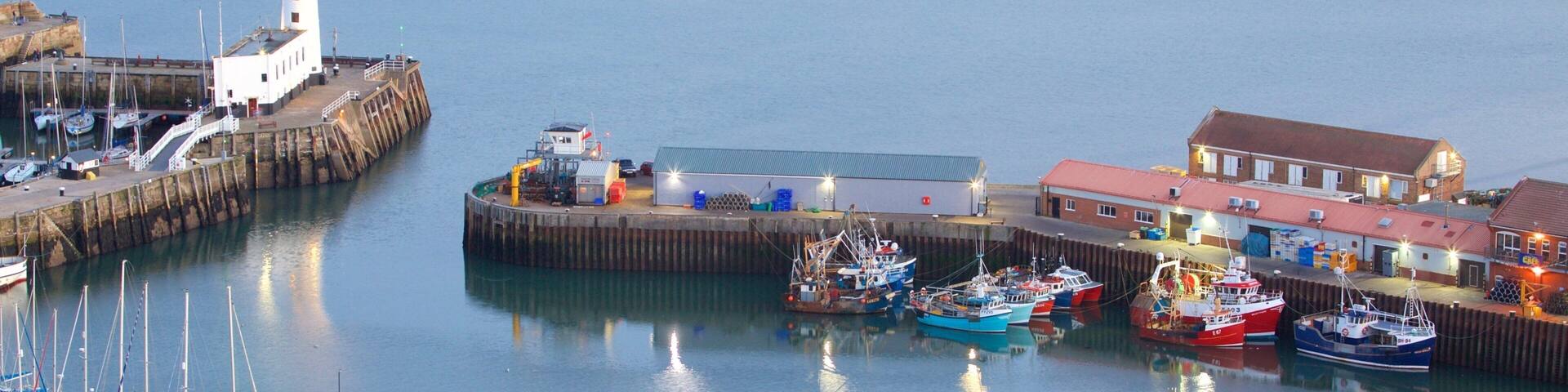 South Bay Beach which includes a coastal town and a bay or harbor