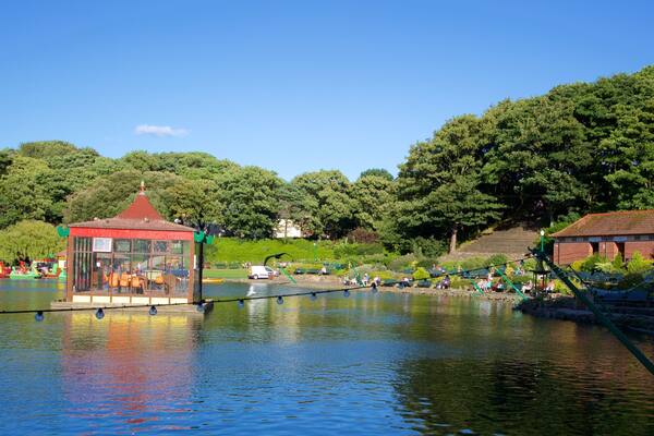 Peasholm Park featuring a river or creek and a garden