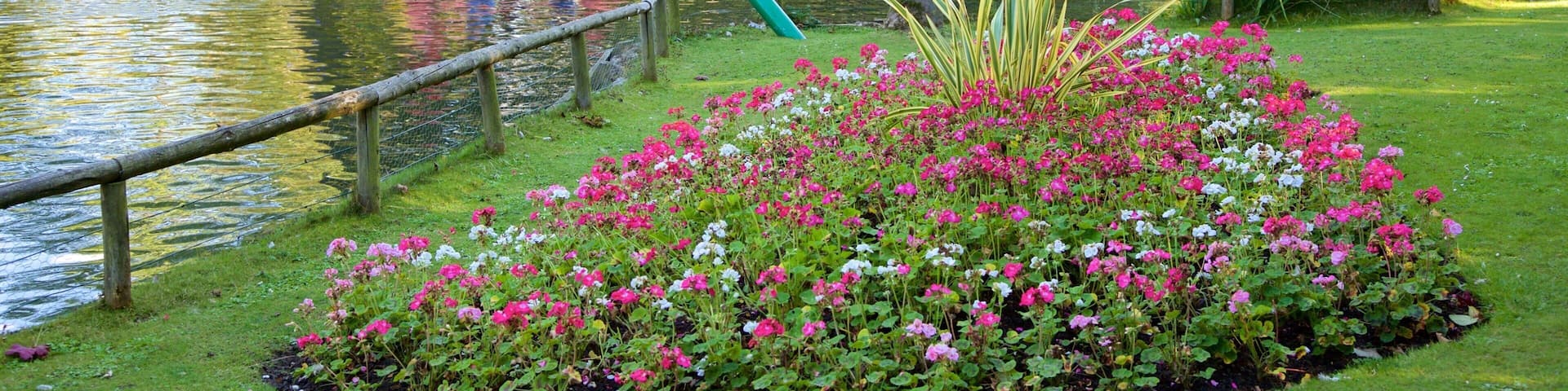 Peasholm Park which includes flowers, watersports and a river or creek
