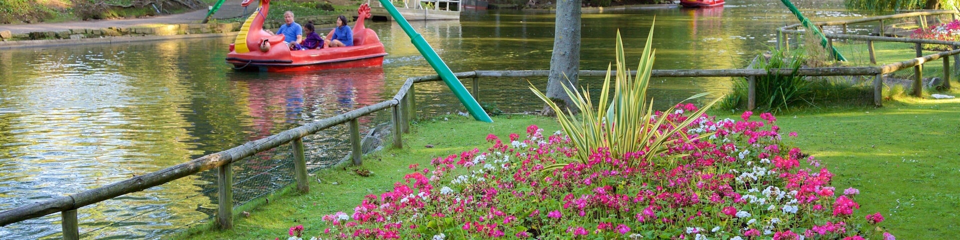 Peasholm Park which includes flowers, watersports and a river or creek