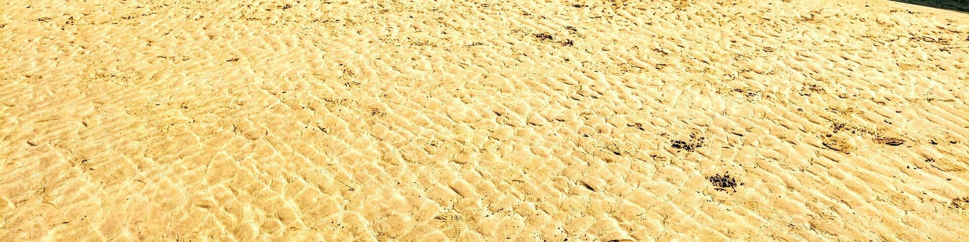 Unnerving to see the remanants of the WW2 Normandy invasion still on the beach. #lifeatexpedia