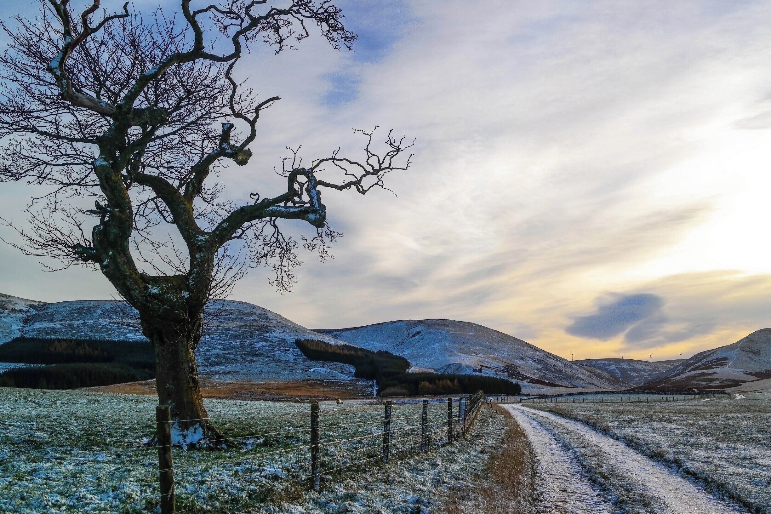 Half an hour south of Edinburgh these beautiful hills offer an opportunity to wander for hours. This was late afternoon mid November. Gorgeous light.