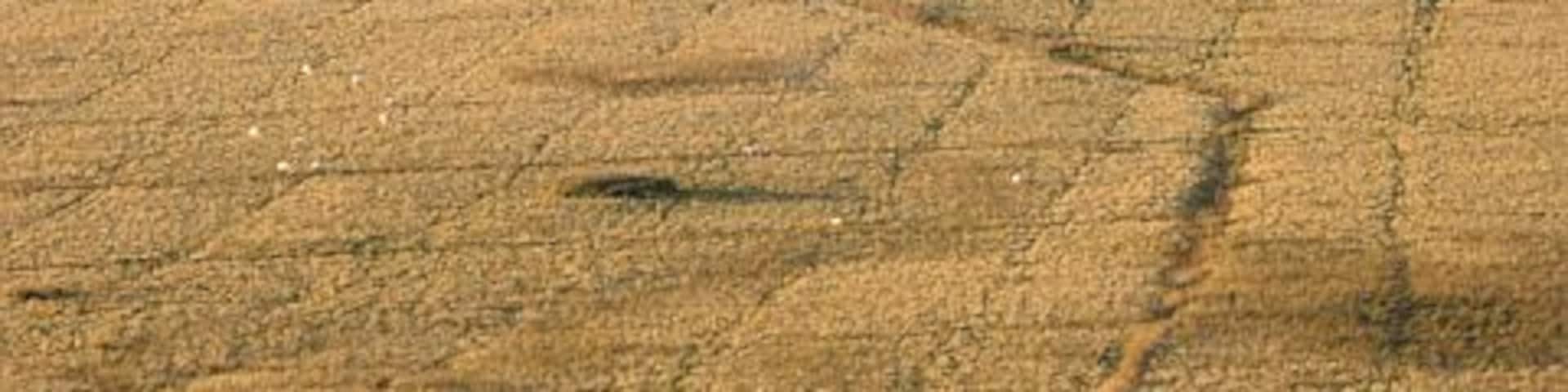 A vast agricultural landscape with fields of varying crops, a distant city skyline, and rolling hills in the background.