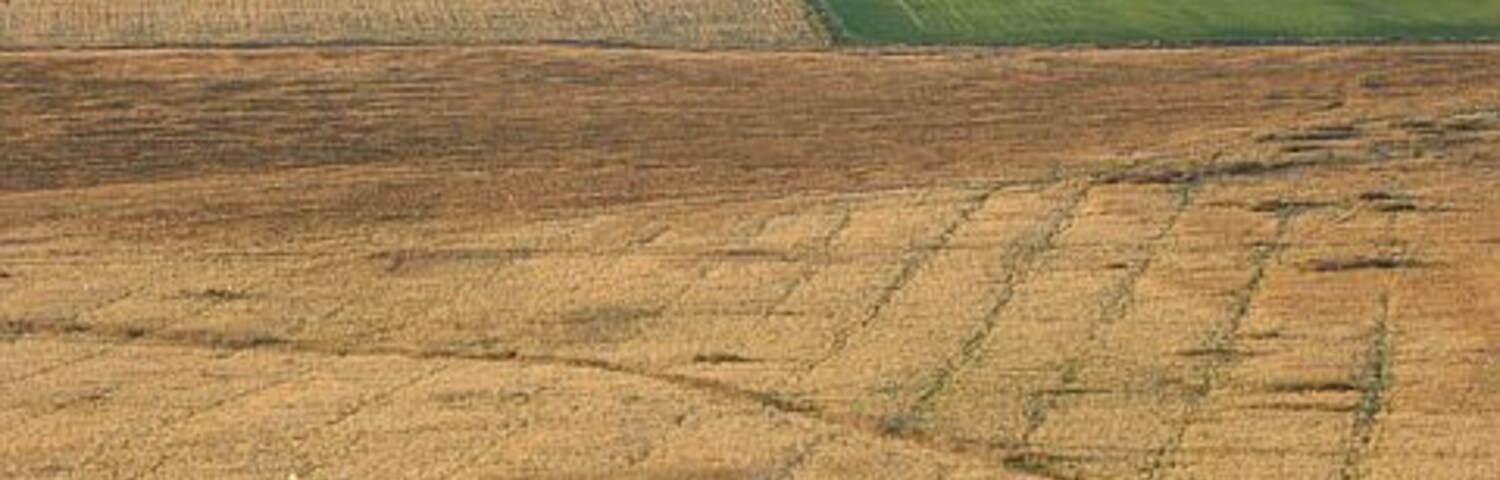 Vasta paisagem agrícola com campos de diferentes culturas, linha do horizonte de uma cidade ao longe e colinas ondulantes ao fundo.