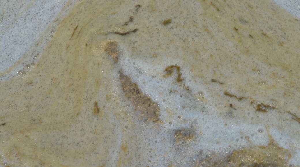 Mundo interior intacto, en aguas calmadas y temidas mareas...
Intact inner world, in calm waters and feared tides...
#nofilter #love #life