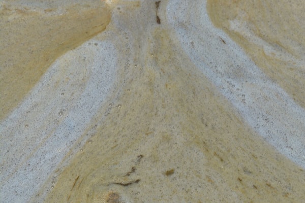 Mundo interior intacto, en aguas calmadas y temidas mareas...
Intact inner world, in calm waters and feared tides...
#nofilter #love #life