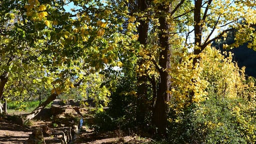 Font de Garrut a la Tardor