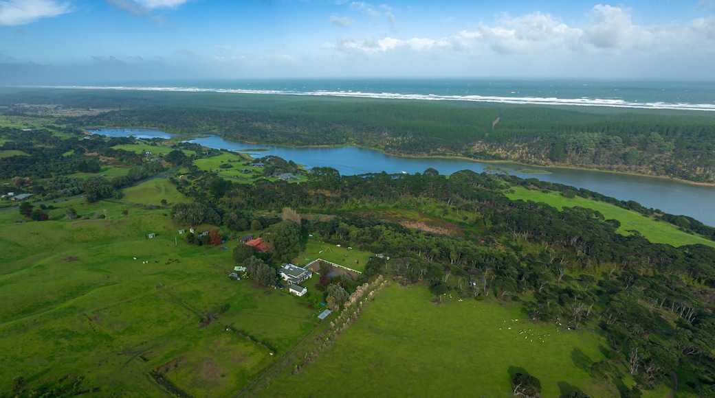 ํฌ๋ ์ค๋น