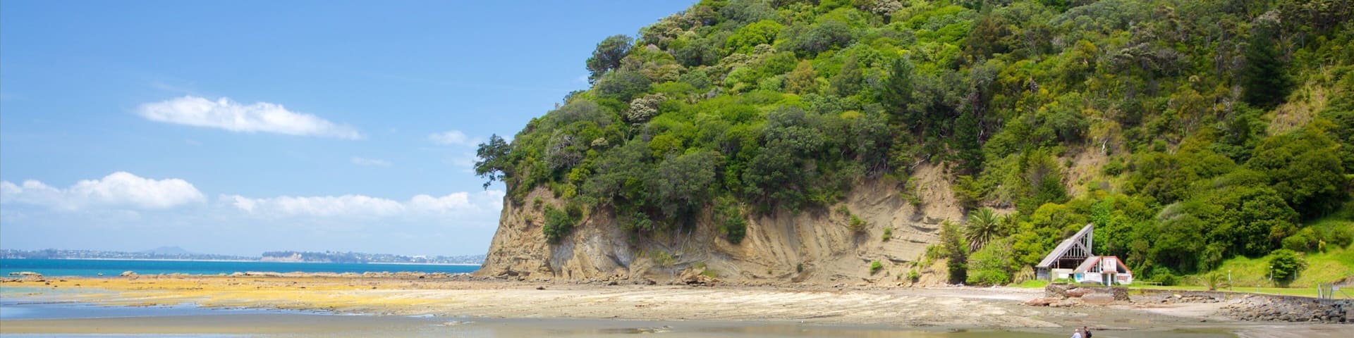 Waiwera showing rocky coastline, a bay or harbor and a beach