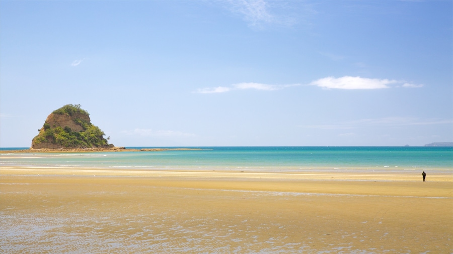 Waiwera showing a bay or harbour and a sandy beach