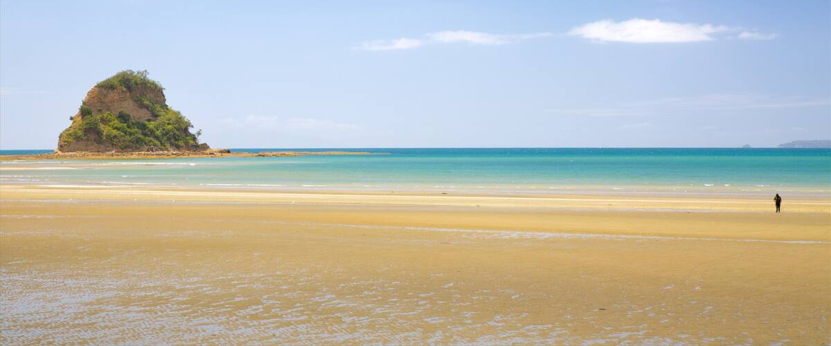 A sandy beach with clear turquoise water and a small rocky island with greenery.