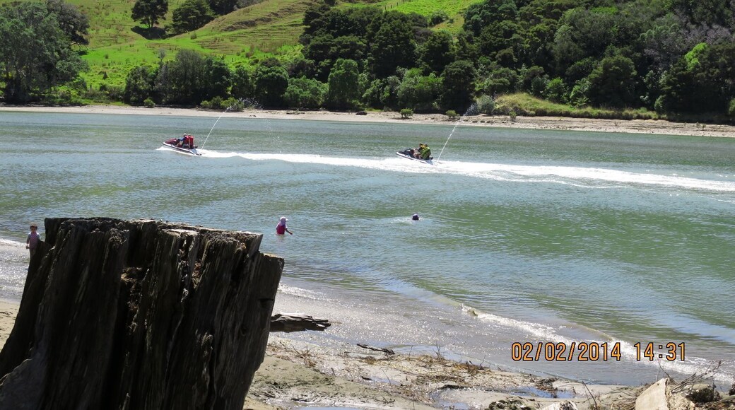 Wenderholm Regional Park, Auckland, North Island, New Zealand
The long, sandy, tranquil beach and shady pohutukawa trees along the foreshore are the main attractions to the Wenderholm Regional Park. There are also native forest walks that climb the park's headland which lies between the Waiwera and Puhoi Rivers. Hikers are rewarded with long range views up the Puhoi River valley and out across the sea to the distant islands of the Hauraki Gulf.
#roadtrip