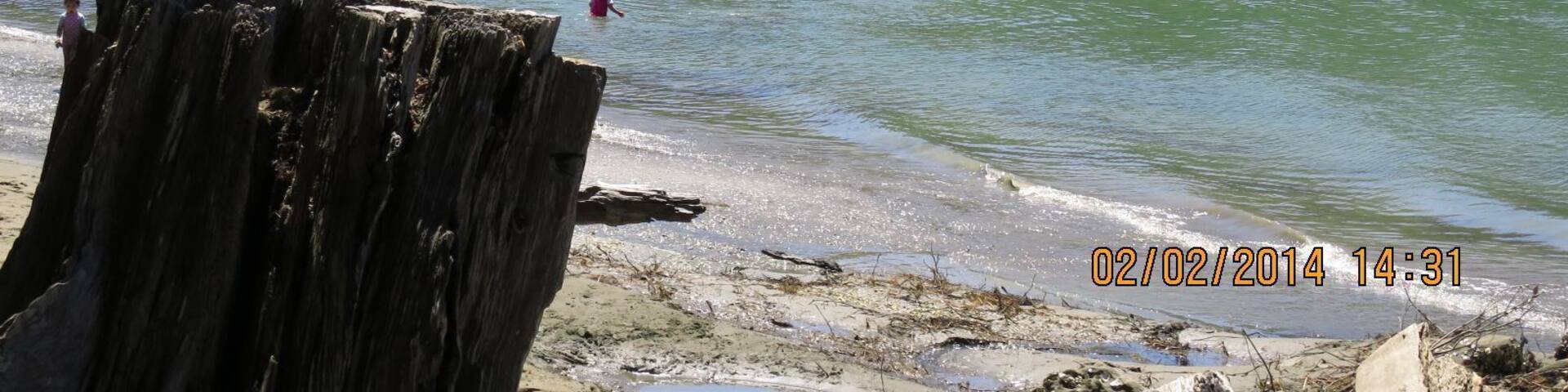 Wenderholm Regional Park, Auckland, North Island, New Zealand
The long, sandy, tranquil beach and shady pohutukawa trees along the foreshore are the main attractions to the Wenderholm Regional Park. There are also native forest walks that climb the park's headland which lies between the Waiwera and Puhoi Rivers. Hikers are rewarded with long range views up the Puhoi River valley and out across the sea to the distant islands of the Hauraki Gulf.
#roadtrip