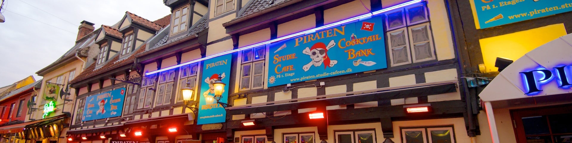 Jomfru Ane Gade which includes a bar, heritage architecture and a city