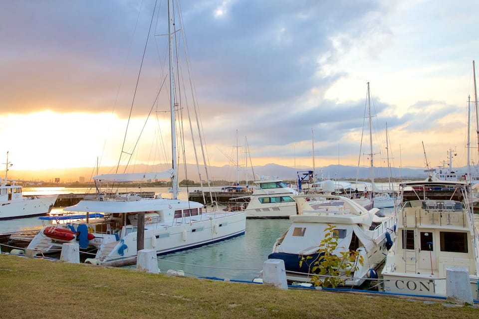 Un puerto deportivo con varios veleros amarrados al atardecer.