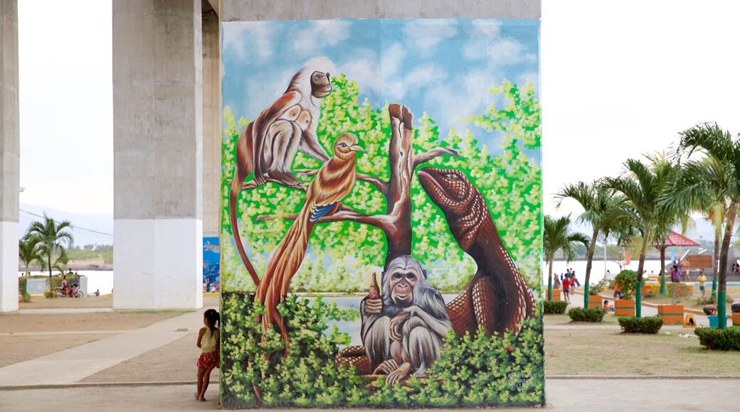 Marcelo Fernan-broen som viser kunst