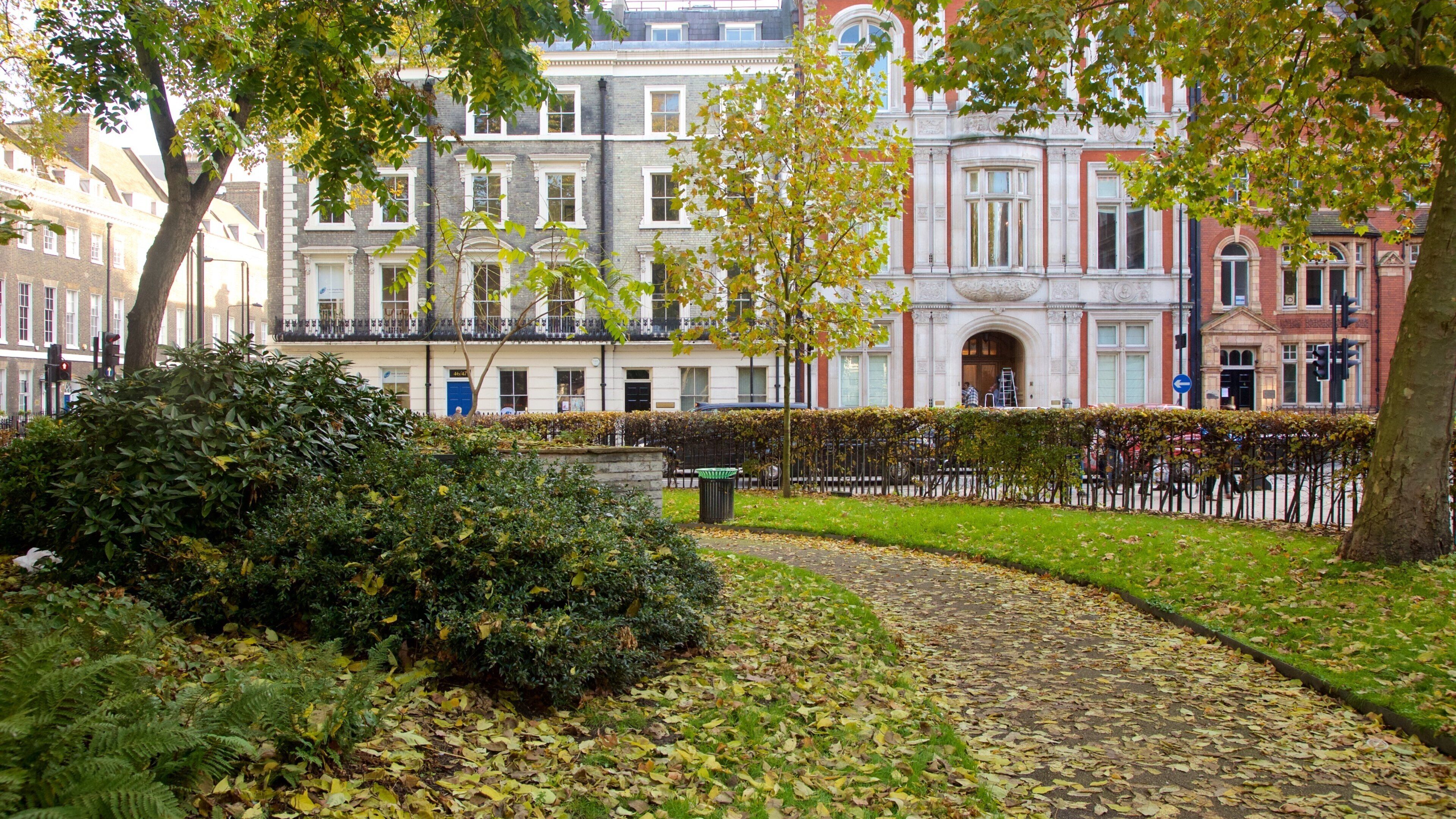 Bloomsbury Square featuring a garden and a square or plaza
