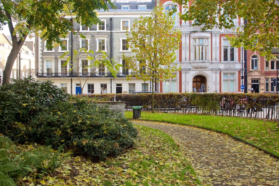A cobblestone path with fallen leaves, a hedge, and a row of historic buildings with ornate architecture.