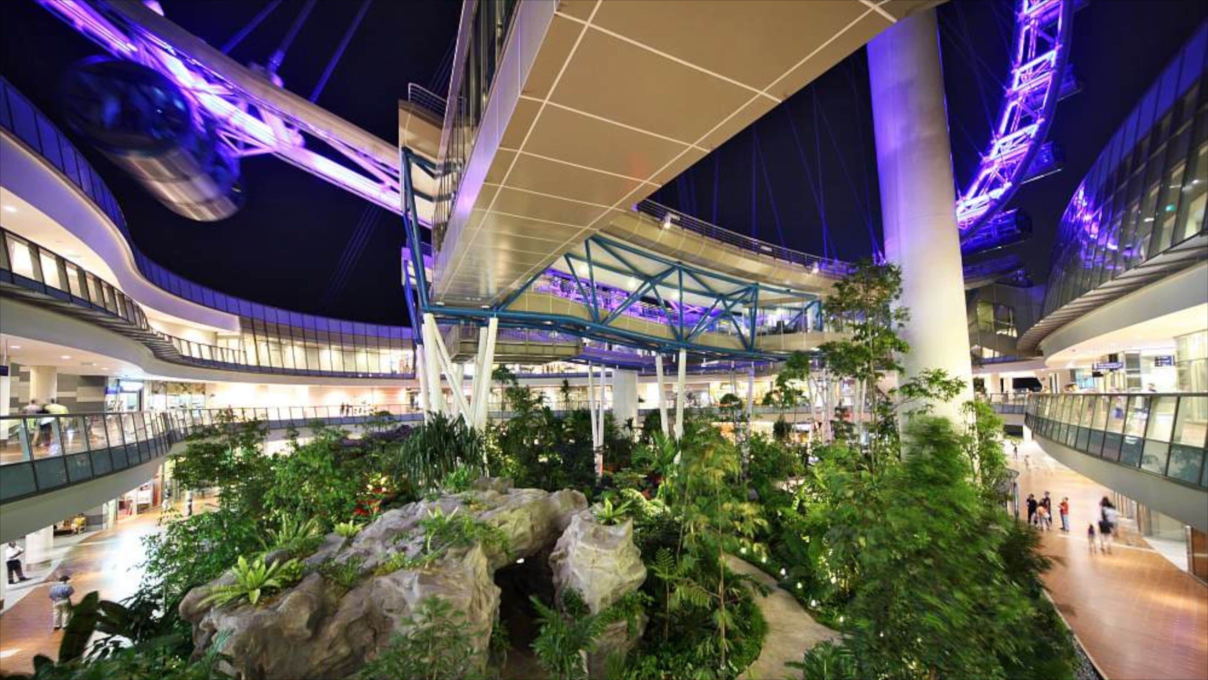 싱가포르 플라이어 대관람차 을 특징 실내 전경, 현대적 건축 과 야경