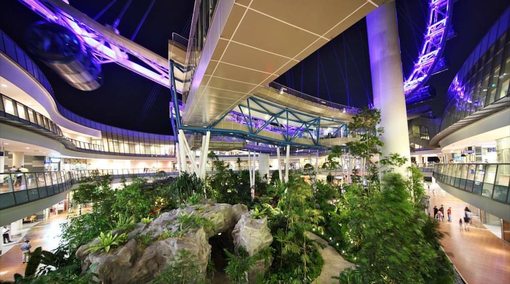 싱가포르 플라이어 대관람차 을 특징 실내 전경, 현대적 건축 과 야경