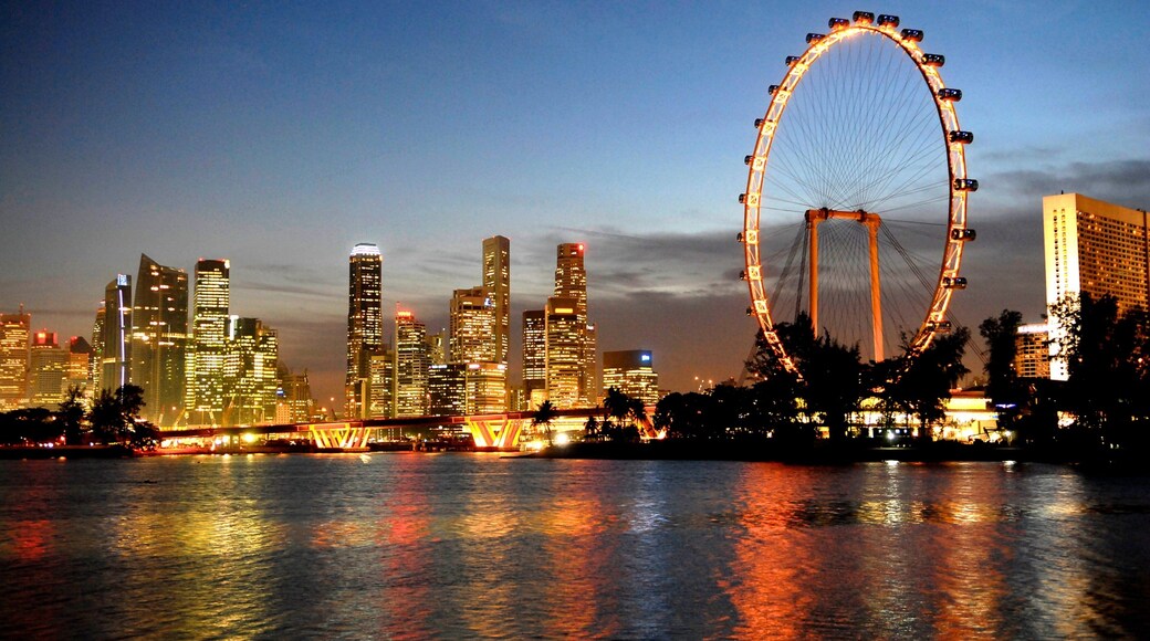 Noria Singapore Flyer que incluye escenas de noche, una ciudad y un rascacielos