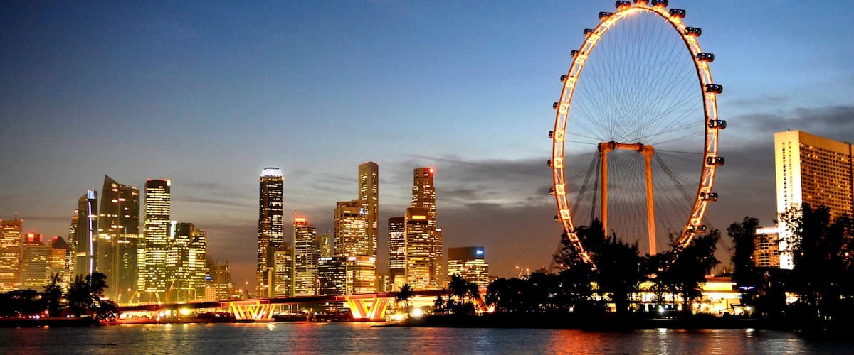 Singapore Flyer showing central business district, rides and night scenes