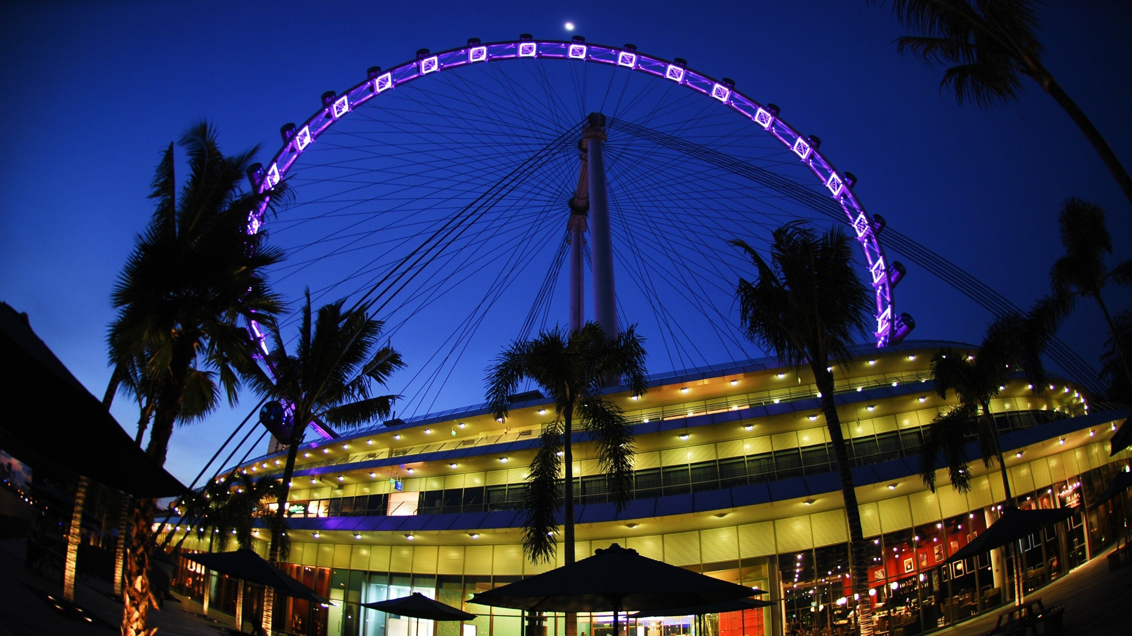 Singapore Flyer showing a city, rides and modern architecture