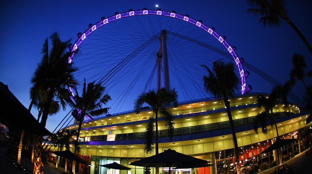 Singapore Flyer showing a city, rides and modern architecture