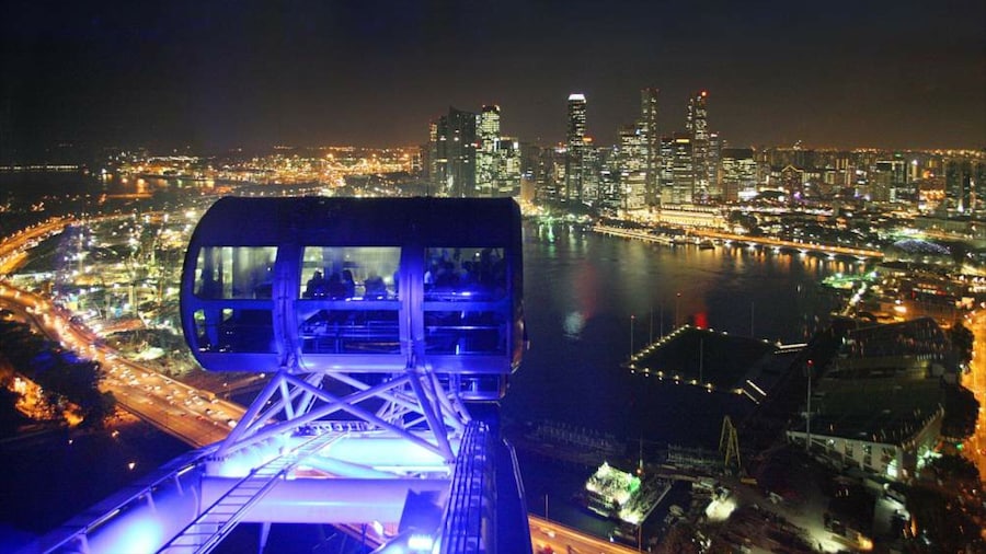 Singapore Flyer which includes rides, a bay or harbor and city views