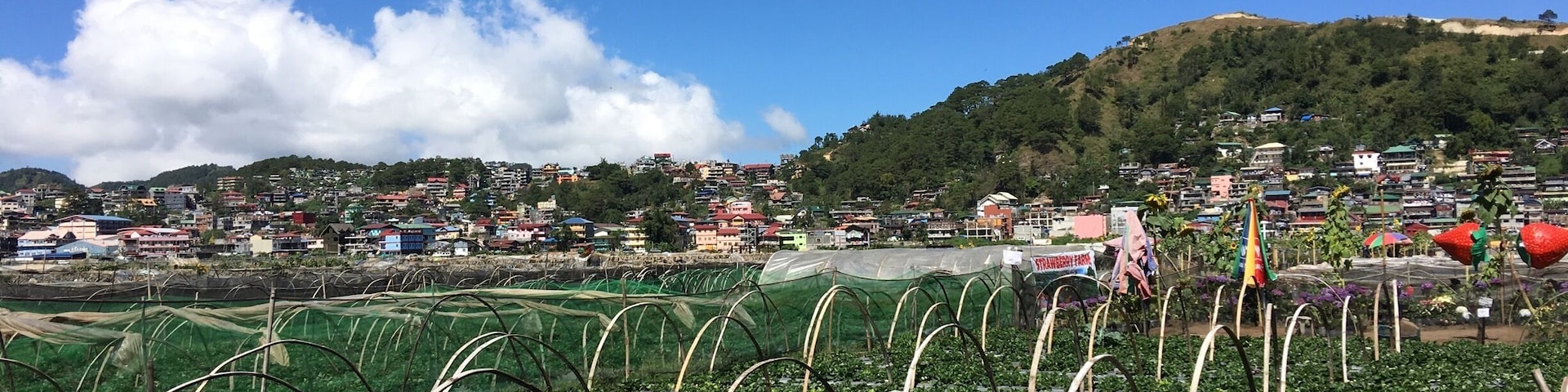 Strawberry Farm at the Summer Capital of the Philippines๐