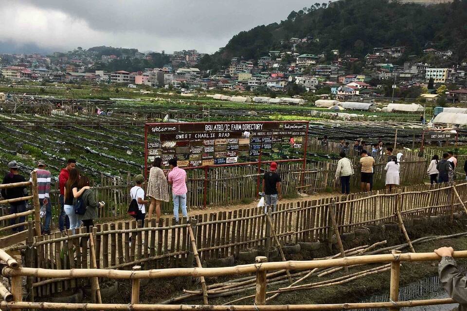 Uma cerca de bambu com pessoas atrás, observando uma quinta com diversas culturas.