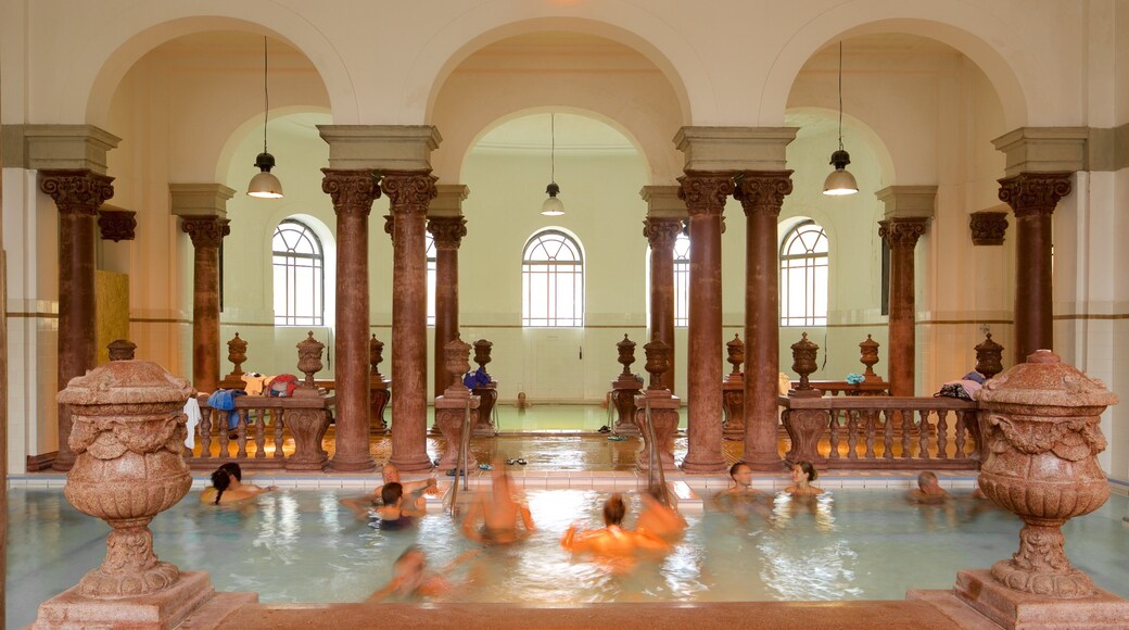 Széchenyin kylpylä featuring sisäkuvat ja kylpylä sekä suuri ryhmä ihmisiä
