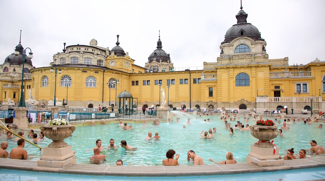 Szechenyi Thermal Bath showing heritage architecture, a pool and a day spa