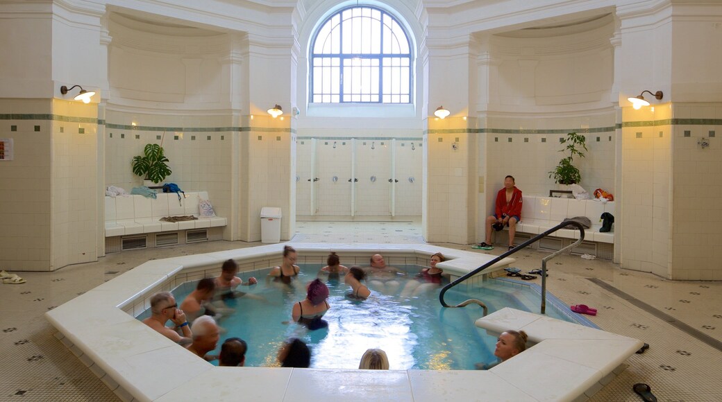 Széchenyin kylpylä featuring sisäkuvat ja kylpylä sekä suuri ryhmä ihmisiä
