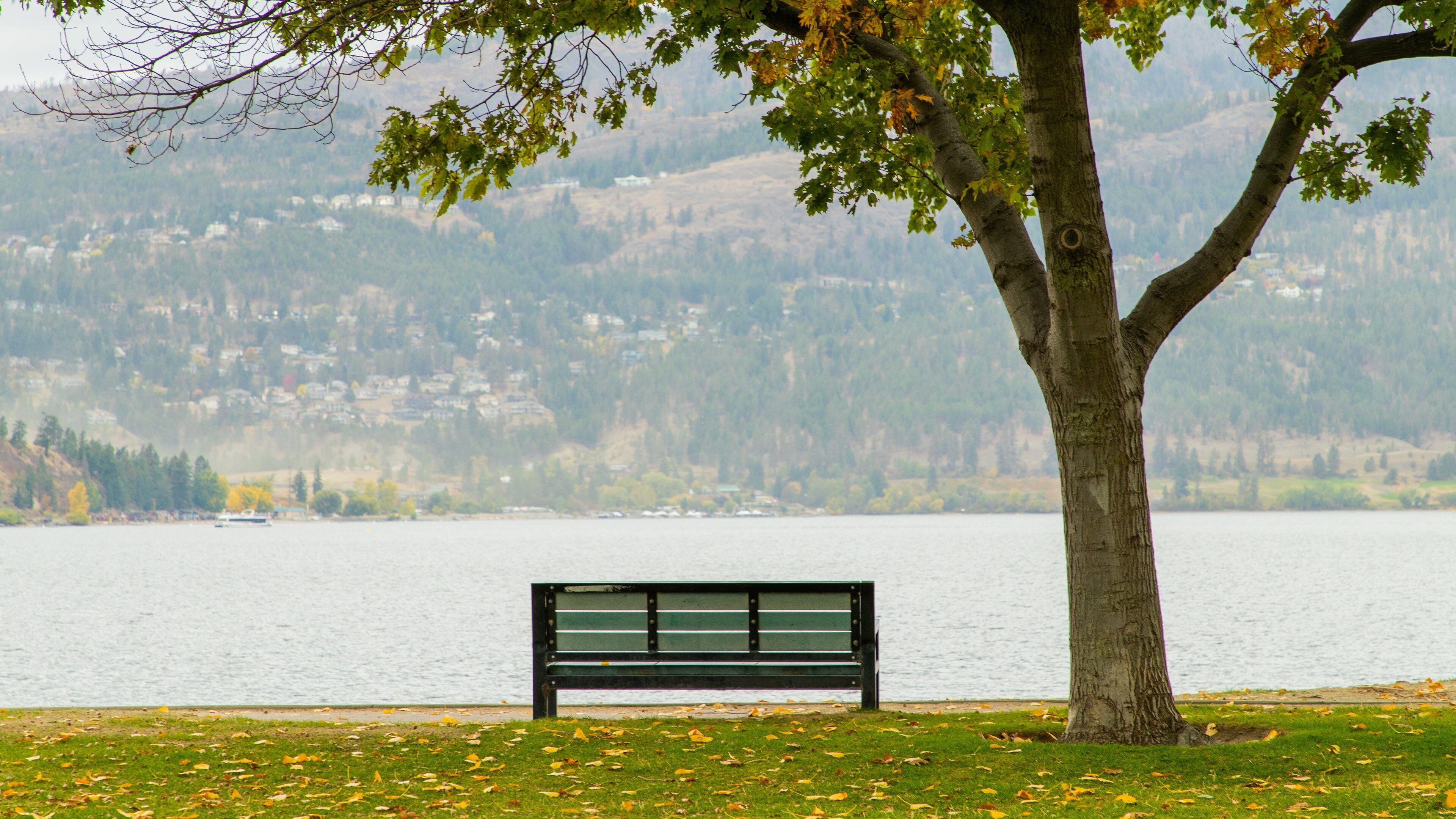 City Park featuring a park and a lake or waterhole